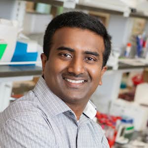 Srikanth Singamaneni